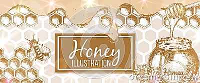 Sketch honey illustration Vector Illustration