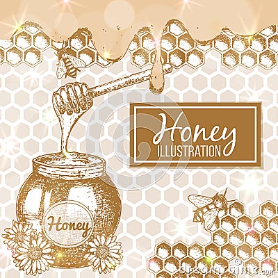 Sketch honey illustration Vector Illustration