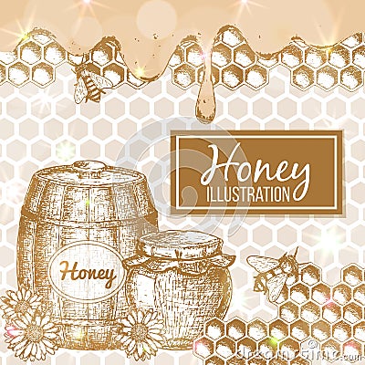 Sketch honey illustration Vector Illustration