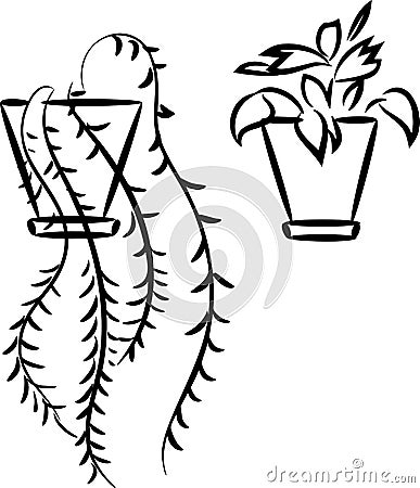 Sketch of houseplant Stock Photo