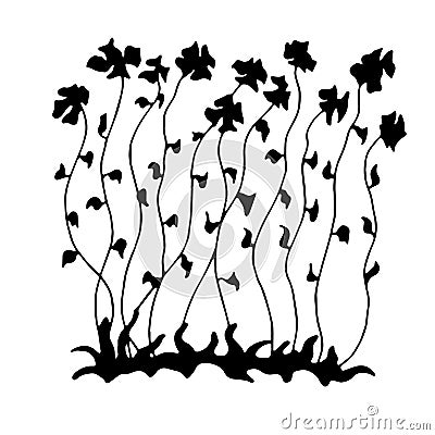 Sketch of long flowers . Vector Illustration