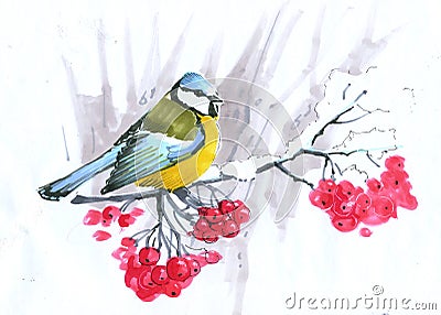 Sketch. blue tit sitting on a mountain ash branch with red berries Stock Photo