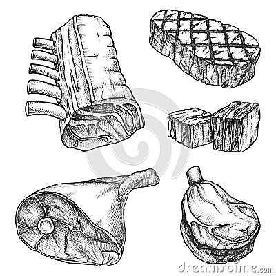 Sketch meat, bbq beef steak, grill ribs and bacon Vector Illustration