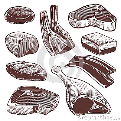 Sketch meat. Hand drawn fresh raw meat products collection, beef steak and ham, pork fillet and lamb chops menu retro Vector Illustration