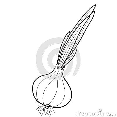 Sketch, onion head with feathers, coloring book, cartoon illustration, isolated object on white background, vector Vector Illustration