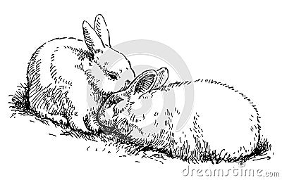 Sketch of pair cute loving fluffy white rabbits sitting in grass Vector Illustration