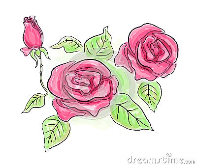 Sketch Of Pink Roses In Transparent Colors Royalty Free Stock Image