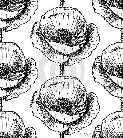 Sketch poppy, vector vintage seamless pattern Vector Illustration