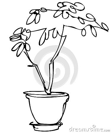 Sketch room plant flower in a pot Vector Illustration