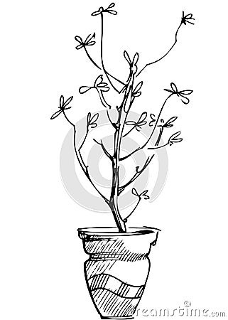 Sketch room plant flower in a pot Vector Illustration