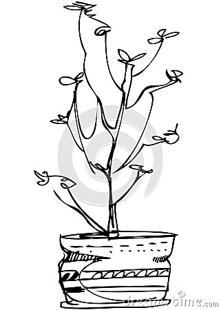 Sketch room plant flower in a pot Vector Illustration