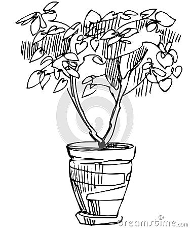 Sketch room plant flower in a pot Vector Illustration