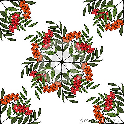 Sketch rowan with berries, liner, in color, seamless 4 Vector Illustration