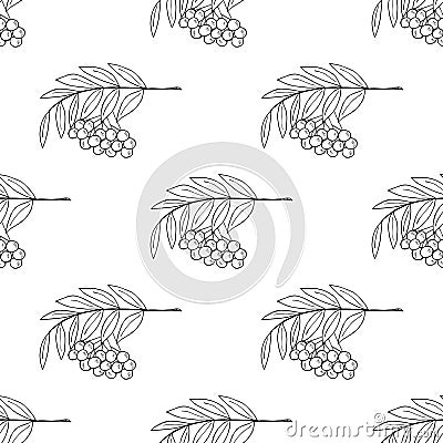 Sketch rowan with berries, liner, seamless 2 Vector Illustration