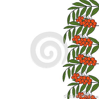 Sketch rowan branch, liner, in color, border Vector Illustration