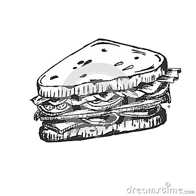 Sketch of sandwich. with tomatoes and herbs. Vector Illustration