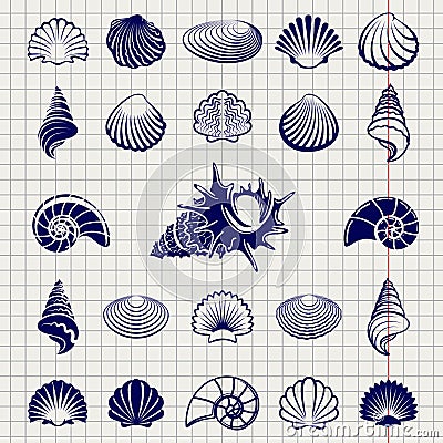 Sketch of sea shells Vector Illustration