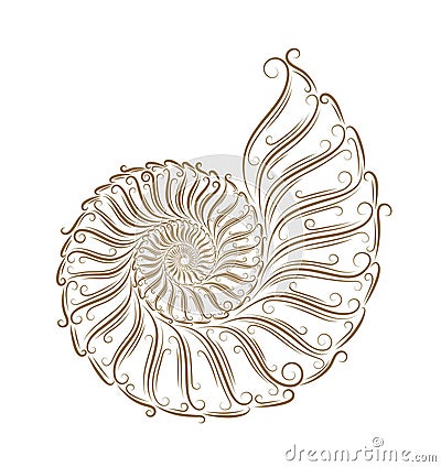 Sketch of seashells Vector Illustration