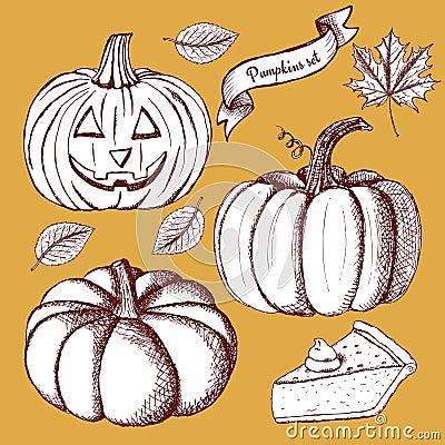 Sketch set of pumpkins Vector Illustration