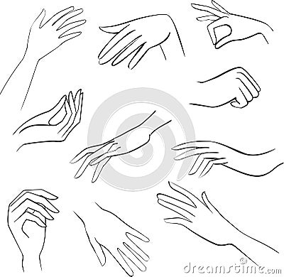 Sketch Set Woman Hands Stock Image - Image: 15298331