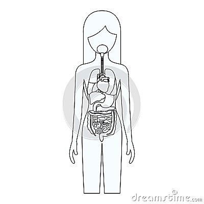 Sketch silhouette of female person with internal organs system of human body Vector Illustration