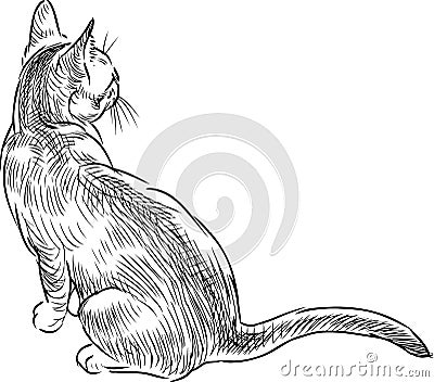 Sketch of small kitten sitting and looking Vector Illustration
