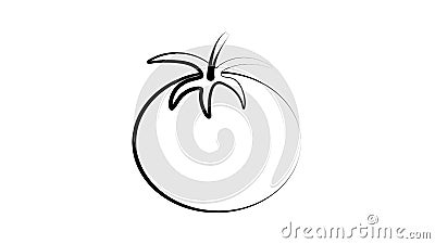 Sketch style drawing of shiny ripe tomato, vector illustration isolated on white background. Appetizing bright red tomato, side Vector Illustration