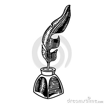 sketch style feather quill pen and ink well illustration in vector format. isolated image on a white background Vector Illustration