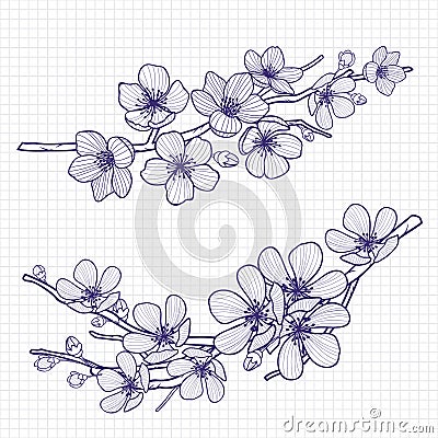 Sketch style flowering cherry or apple tree branch on notebook page . Hand drawn spring elements. Vector illustration. Vector Illustration