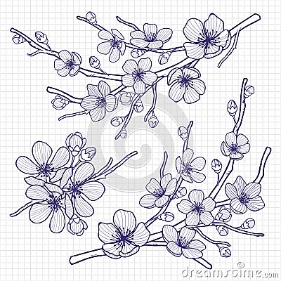 Sketch style flowering cherry or apple tree branch on notebook page . Hand drawn spring elements. Vector illustration. Vector Illustration