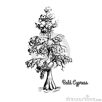 Sketch tree illustration Vector Illustration