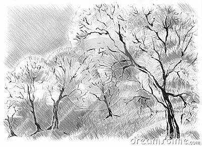 Sketch of the trees Stock Photo
