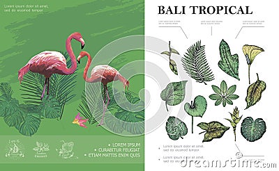 Sketch Tropical Bali Concept Vector Illustration