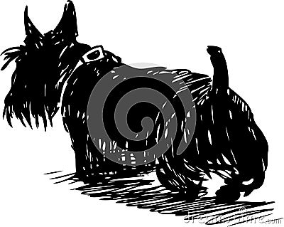 Sketch of a walking scottish terrier Vector Illustration