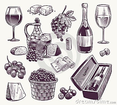 Sketch wine. Winemaking, classical alcoholic drink. Wood wine barrel, bottle and wineglasses, grape vine vintage winery Vector Illustration