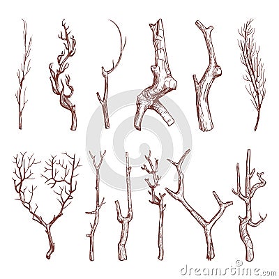 Sketch wood twigs, broken tree branches vector set Vector Illustration