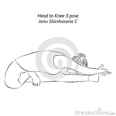 Sketch of yoga pose Janu Shirshasana C. Vector Illustration