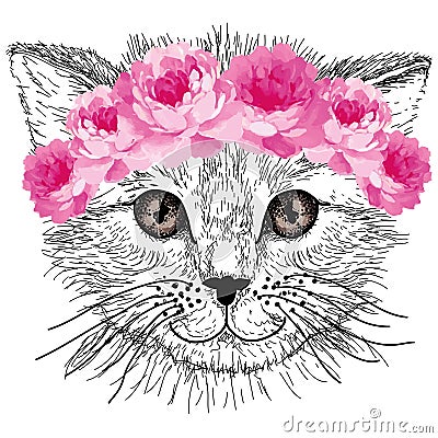 Sketched cat with pink rose flowers in hair Vector Illustration