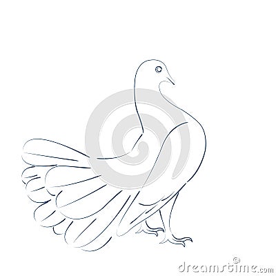 Sketched dove. Vector Illustration