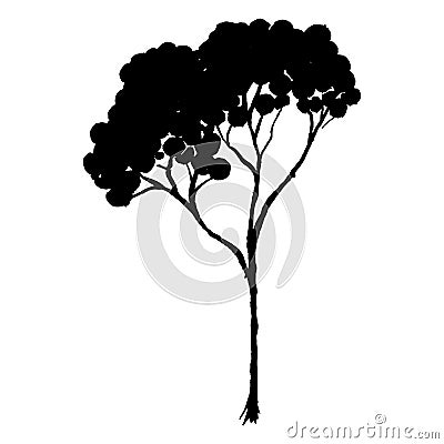 Sketched monochrome tree silhouette vector line art isolated Vector Illustration