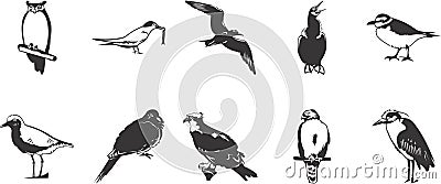 Sketches of birds Vector Illustration