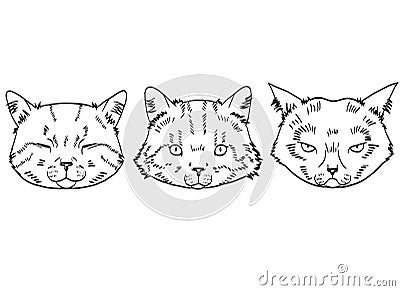 Sketches of cat heads in realistic style. Cats set, vector illustration, hand-drawn cute fluffy cats Vector Illustration