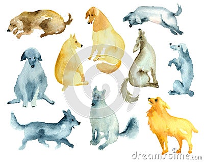 Sketches of funny dogs. Stock Photo