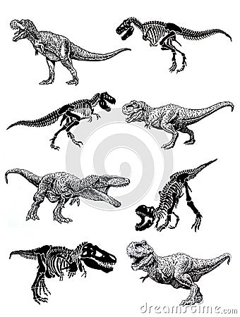 Graphical set of dinosaurs isolated on white background,vector illustration Vector Illustration