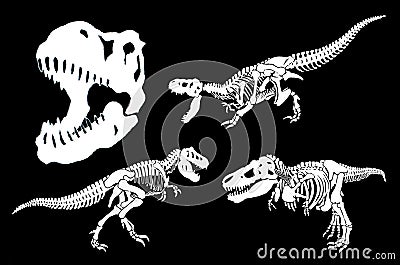 Graphical set of dinosaurs isolated on black background,vector illustration Vector Illustration