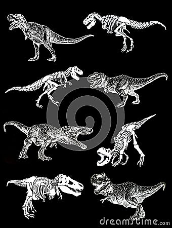 Graphical set of dinosaurs isolated on black background,vector illustration Vector Illustration