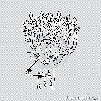 Skethcy of deer head. Vector Illustration