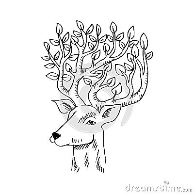 Skethcy of deer head. Cartoon Illustration