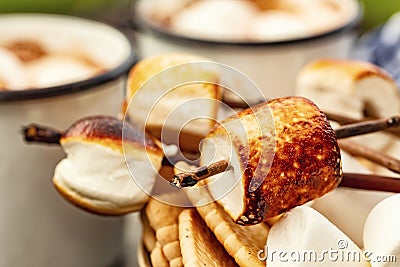 Skewers of roasted marshmallows Stock Photo