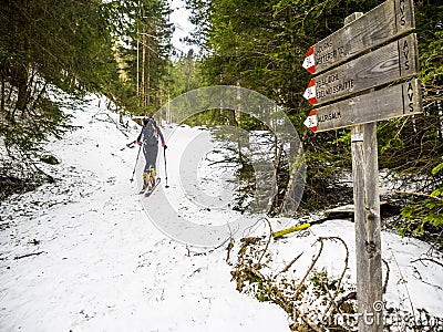 Ski alper Stock Photo